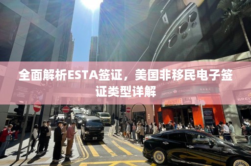 全面解析ESTA签证，美国非移民电子签证类型详解