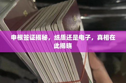 申根签证揭秘，纸质还是电子，真相在此揭晓