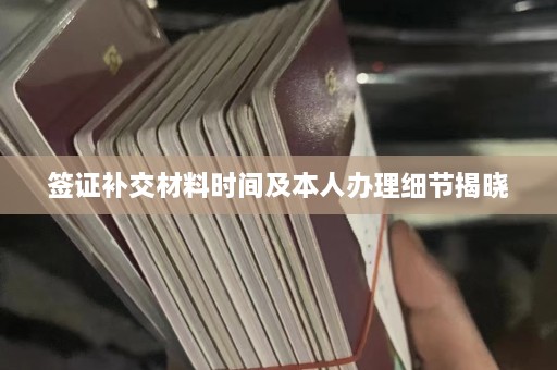 签证补交材料时间及本人办理细节揭晓