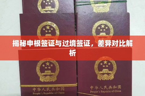 揭秘申根签证与过境签证，差异对比解析