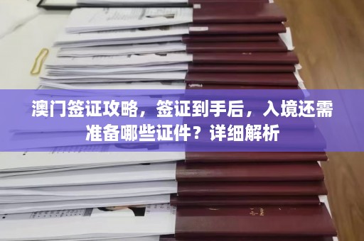  *** 签证攻略，签证到手后，入境还需准备哪些证件？详细解析