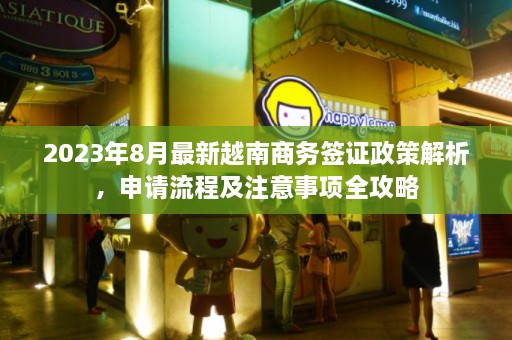 2023年8月最新越南商务签证政策解析，申请流程及注意事项全攻略