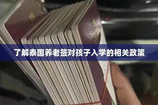 了解泰国养老签对孩子入学的相关政策