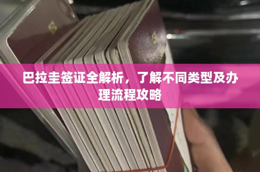 巴拉圭签证全解析，了解不同类型及办理流程攻略