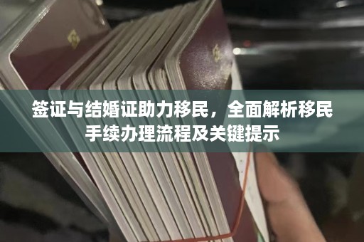 签证与结婚证助力移民，全面解析移民手续办理流程及关键提示