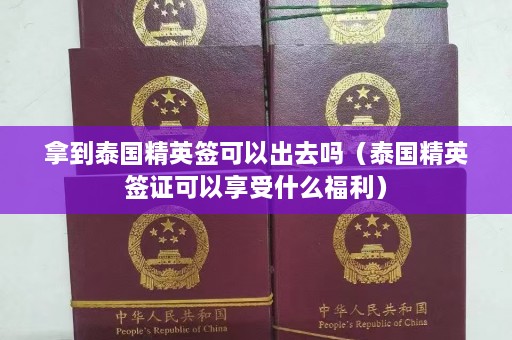 拿到泰国精英签可以出去吗（泰国精英签证可以享受什么福利）  第1张