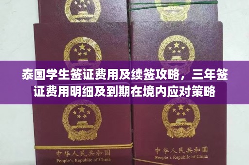 泰国学生签证费用及续签攻略，三年签证费用明细及到期在境内应对策略