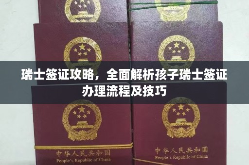 瑞士签证攻略，全面解析孩子瑞士签证办理流程及技巧