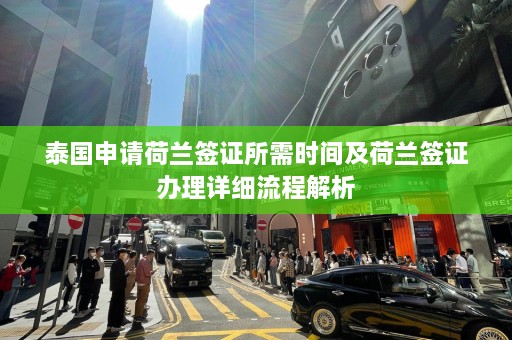 泰国申请荷兰签证所需时间及荷兰签证办理详细流程解析