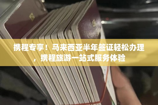 携程专享！马来西亚半年签证轻松办理，携程旅游一站式服务体验