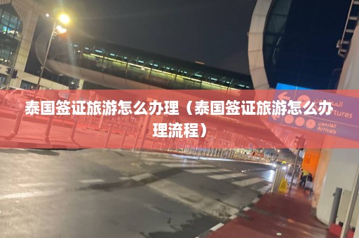 泰国签证旅游怎么办理（泰国签证旅游怎么办理流程）