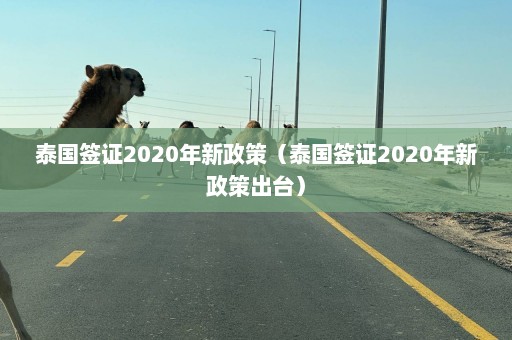 泰国签证2020年新政策（泰国签证2020年新政策出台）