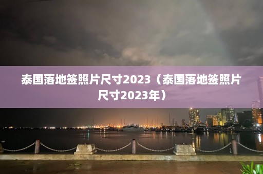 泰国落地签照片尺寸2023（泰国落地签照片尺寸2023年）