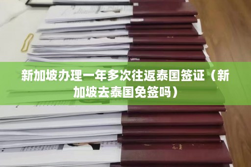 新加坡办理一年多次往返泰国签证（新加坡去泰国免签吗）  第1张