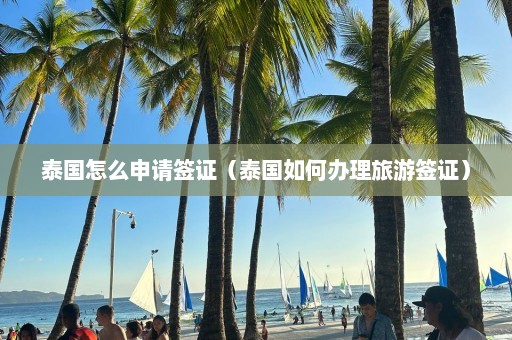 泰国怎么申请签证（泰国如何办理旅游签证）