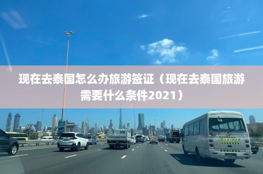 现在去泰国怎么办旅游签证（现在去泰国旅游需要什么条件2021）