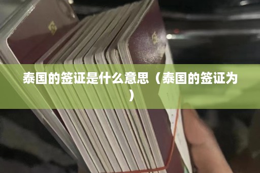 泰国的签证是什么意思（泰国的签证为）  第1张