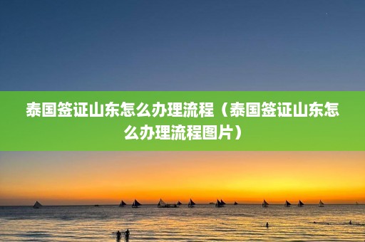 泰国签证山东怎么办理流程（泰国签证山东怎么办理流程图片）