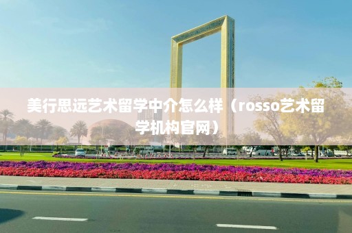 美行思远艺术留学中介怎么样（rosso艺术留学机构官网）