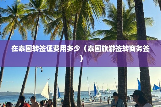 在泰国转签证费用多少（泰国旅游签转商务签）