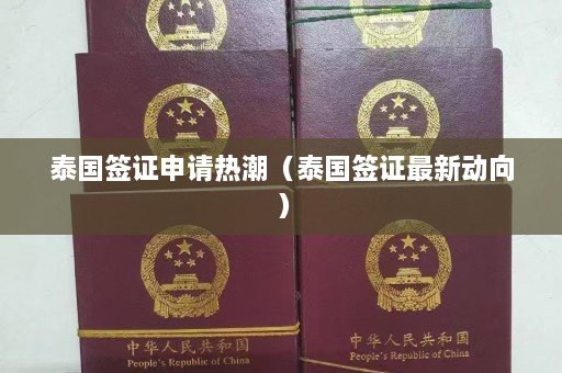 泰国签证申请热潮（泰国签证最新动向）