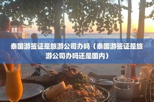 泰国游签证是旅游公司办吗（泰国游签证是旅游公司办吗还是国内）