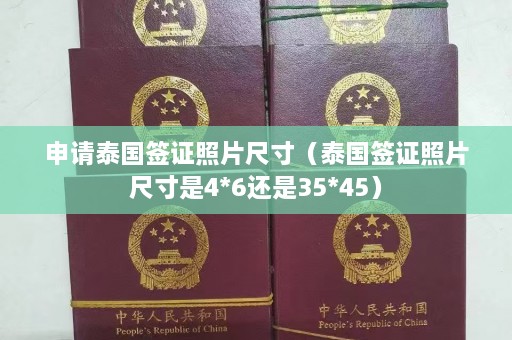 申请泰国签证照片尺寸（泰国签证照片尺寸是4*6还是35*45）  第1张