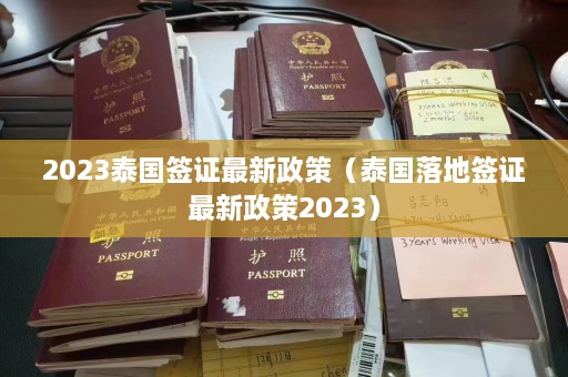 2023泰国签证最新政策（泰国落地签证最新政策2023）