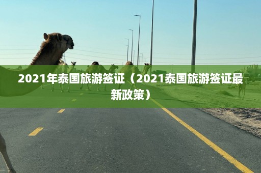 2021年泰国旅游签证（2021泰国旅游签证最新政策）