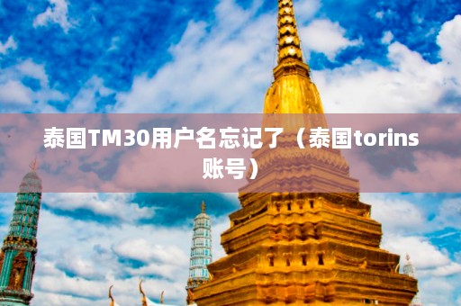 泰国TM30用户名忘记了（泰国torins账号）