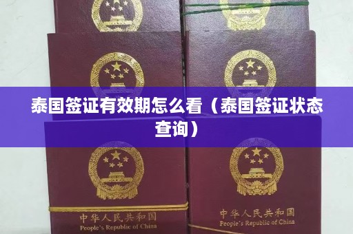 泰国签证有效期怎么看（泰国签证状态查询）  第1张