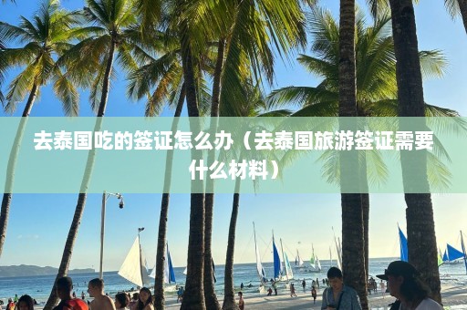 去泰国吃的签证怎么办（去泰国旅游签证需要什么材料）