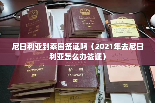 尼日利亚到泰国签证吗（2021年去尼日利亚怎么办签证）