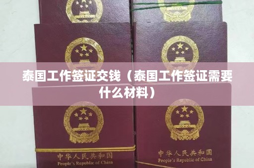 泰国工作签证交钱（泰国工作签证需要什么材料）  第1张