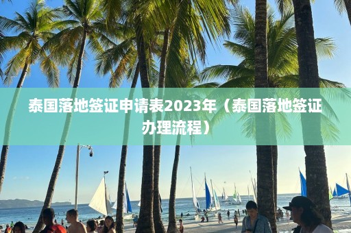 泰国落地签证申请表2023年（泰国落地签证办理流程）