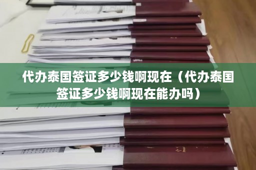 代办泰国签证多少钱啊现在（代办泰国签证多少钱啊现在能办吗）  第1张