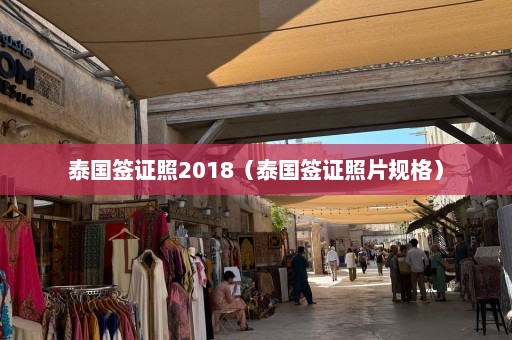 泰国签证照2018（泰国签证照片规格）