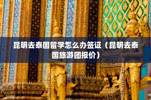 昆明去泰国留学怎么办签证（昆明去泰国旅游团报价）  第1张