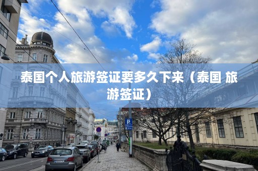 泰国个人旅游签证要多久下来（泰国 旅游签证）  第1张