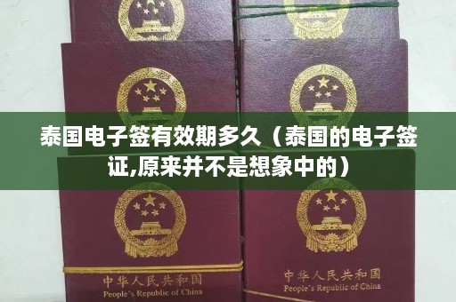 泰国电子签有效期多久（泰国的电子签证,原来并不是想象中的）  第1张