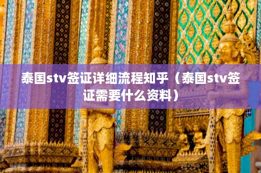 泰国stv签证详细流程知乎（泰国stv签证需要什么资料）  第1张