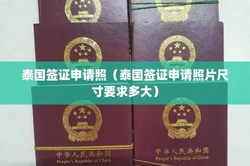 泰国签证申请照（泰国签证申请照片尺寸要求多大）  第1张