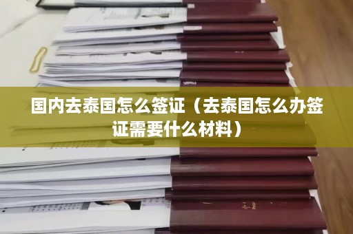 国内去泰国怎么签证（去泰国怎么办签证需要什么材料）  第1张