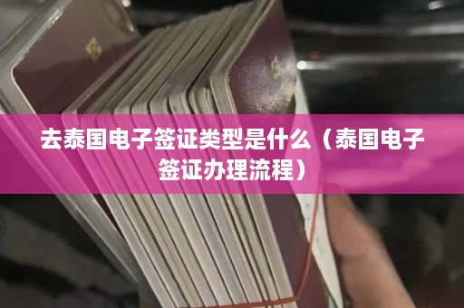 去泰国电子签证类型是什么（泰国电子签证办理流程）  第1张