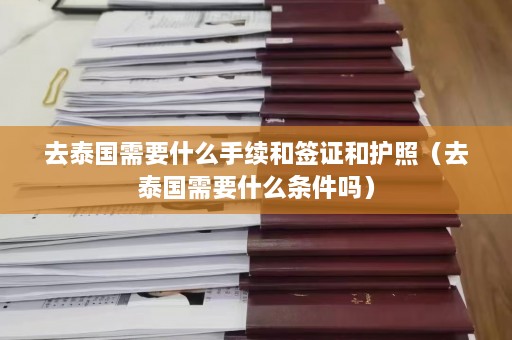 去泰国需要什么手续和签证和护照（去泰国需要什么条件吗）  第1张