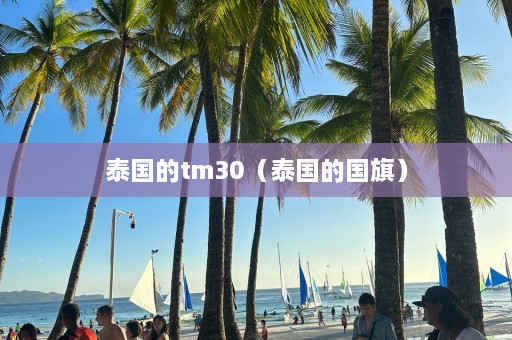 泰国的tm30（泰国的国旗）  第1张