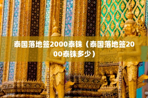 泰国落地签2000泰铢（泰国落地签2000泰铢多少）