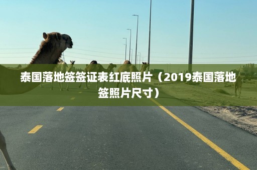 泰国落地签签证表红底照片（2019泰国落地签照片尺寸）