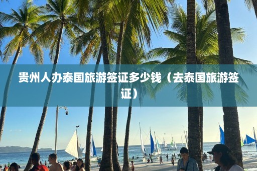 贵州人办泰国旅游签证多少钱（去泰国旅游签证）