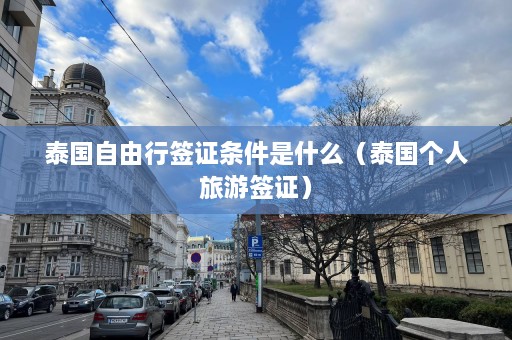 泰国自由行签证条件是什么（泰国个人旅游签证）